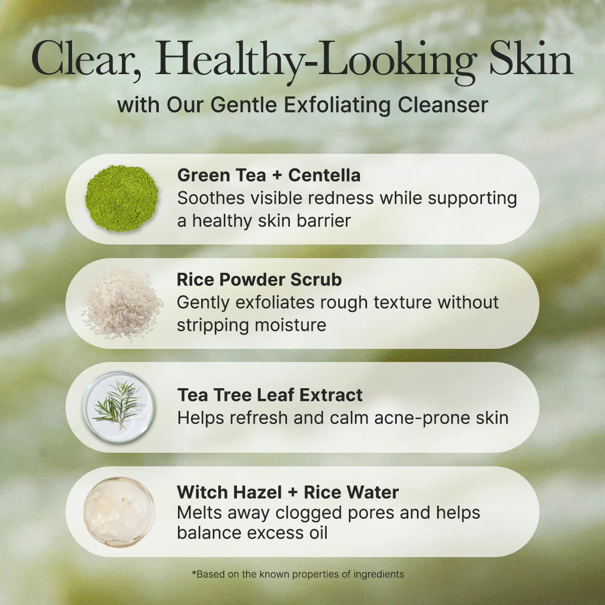[30% OFF] Rice Mochi Cleanser 4.23 oz + Hyssop Blurring Cream 1.06oz - Image 9